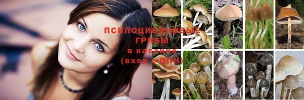 ГАЛЛЮЦИНОГЕННЫЕ ГРИБЫ Каменск-Шахтинский