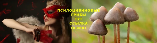 гашиш Каменка