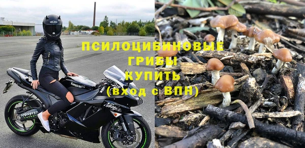метадон Каменногорск