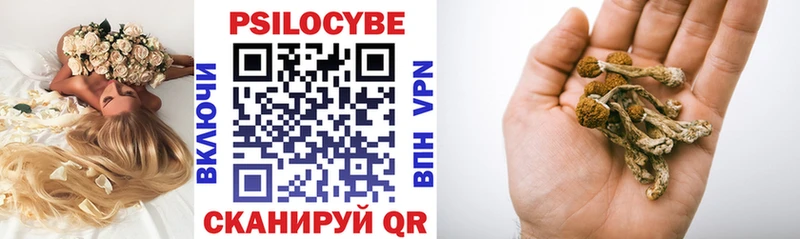 Псилоцибиновые грибы мухоморы  Купить где  Дагестанские Огни 